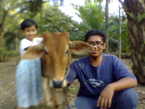 lembu atok